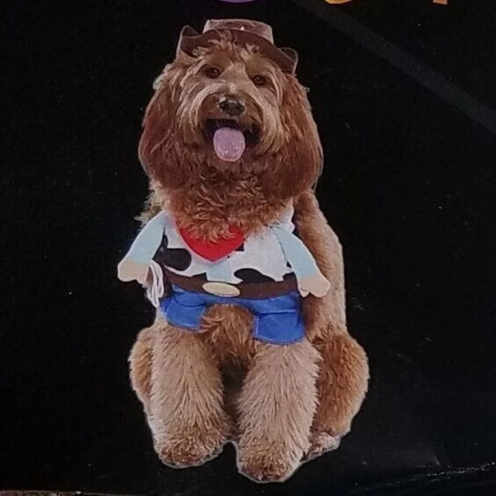 NEW Cowboy Costume Pet Size Medium Dog (20-50 lb) Halloween Vibrant Life Hat Top